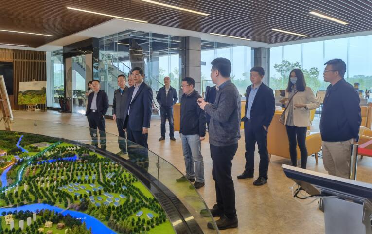 广西旅发集团党委书记、董事长容贤标考察集团文旅项目