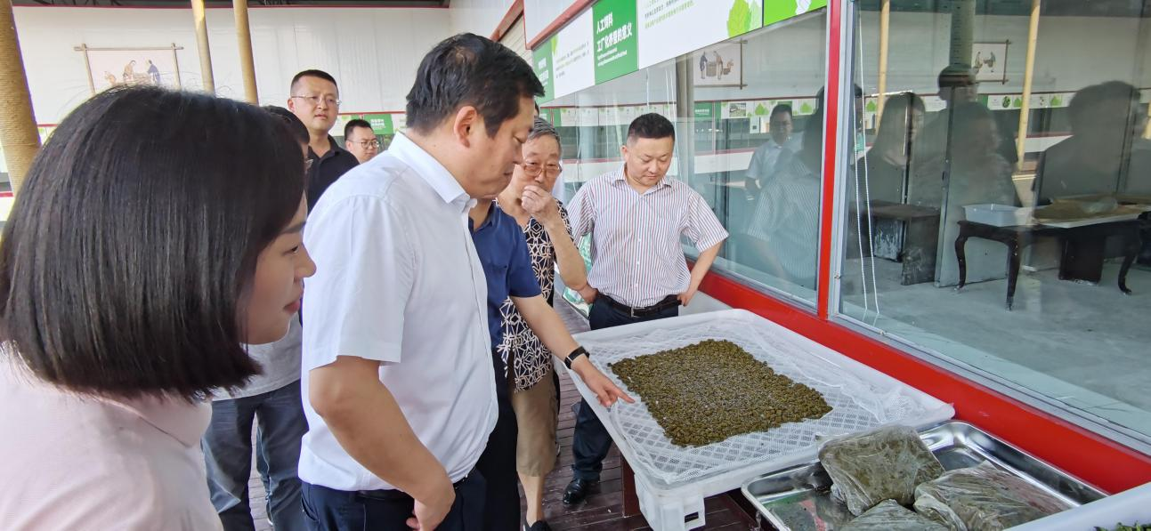 省尊龙凯时集团党委副书记、董事陈日赴嘉陵区调研茶桑产业发展情况